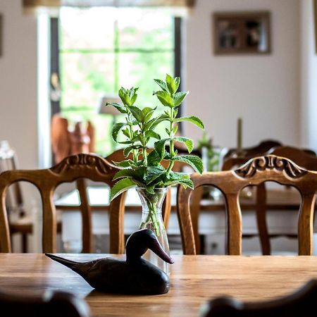 Dom Pod Skrzydlami Bed & Breakfast Gawliki Wielkie Dış mekan fotoğraf