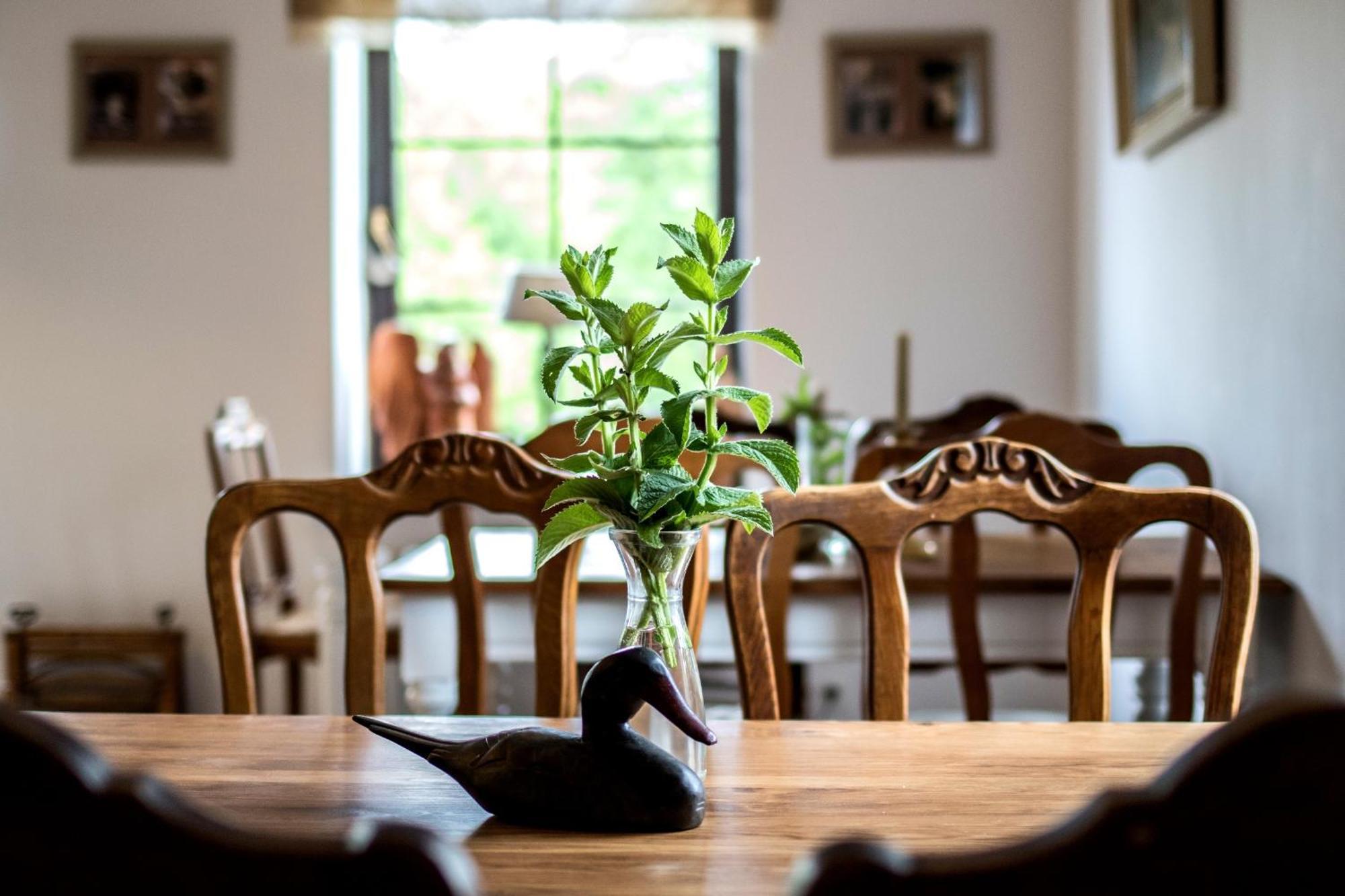 Dom Pod Skrzydlami Bed & Breakfast Gawliki Wielkie Dış mekan fotoğraf
